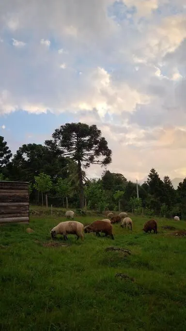 Vakantiehuis Estudio Com Lareira Costa Santti Urubici Brazilië