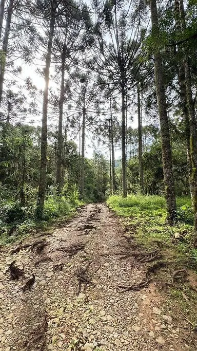 Estudio Com Lareira Costa Santti Urubici